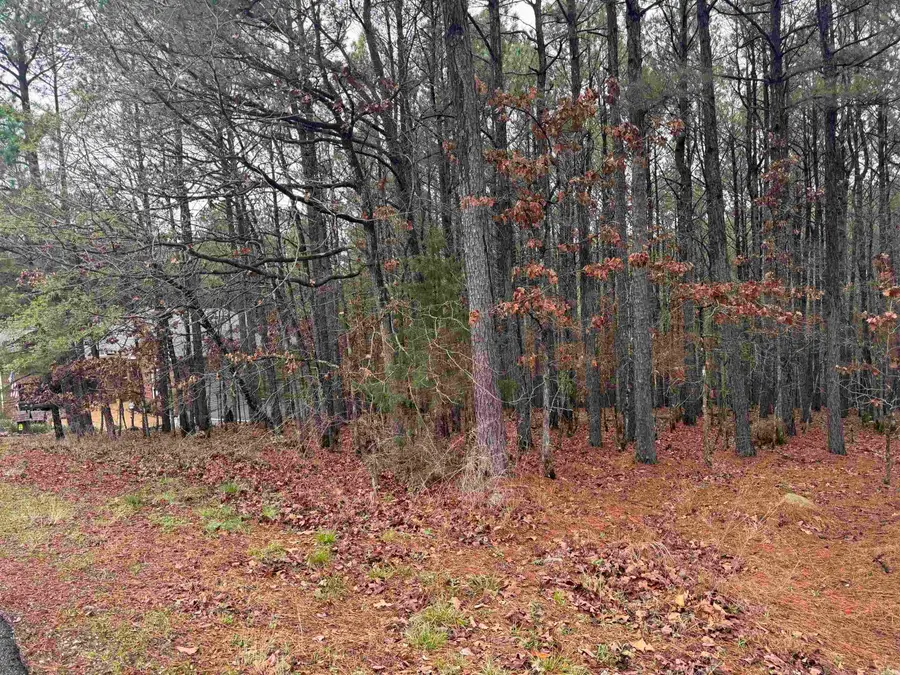 45 Largo Drive, Hot Springs Village, AR 71909 - #2