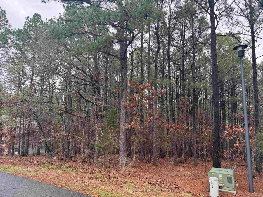 45 Largo Drive, Hot Springs Village, AR 71909 - #3