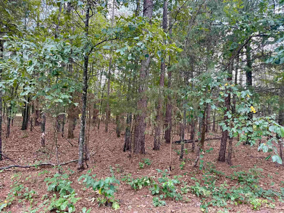 Lot 5 & 6 Ellen, Higden, AR 72067 - #1