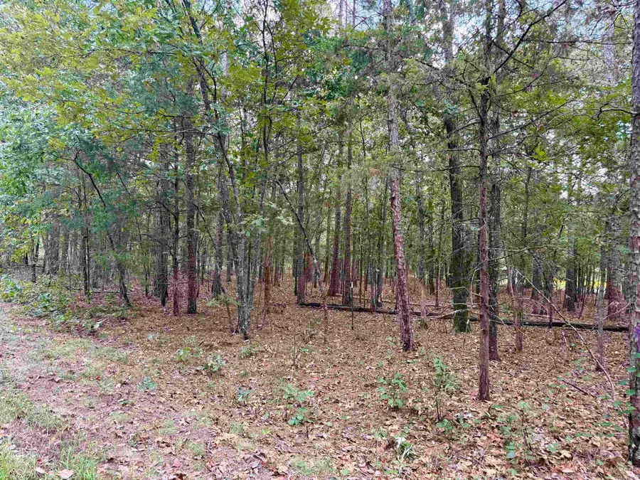 Lot 5 & 6 Ellen, Higden, AR 72067 - #3