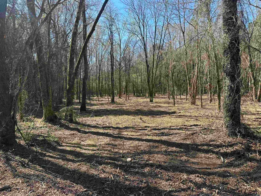 LOTS 80,81,234 Cliff Road, Russellville, AR 72802 - #3