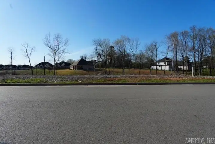 Lot 28 Lake Point Circle, Benton, AR 72019 - #3