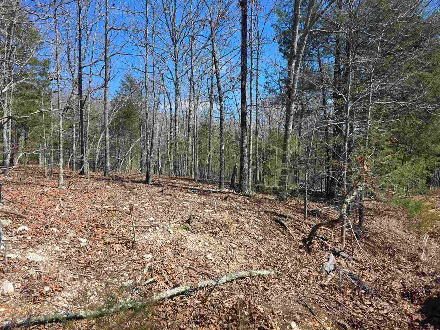 L28 B3 Gheetowaga Drive, Cherokee Village, AR 72529 - #2