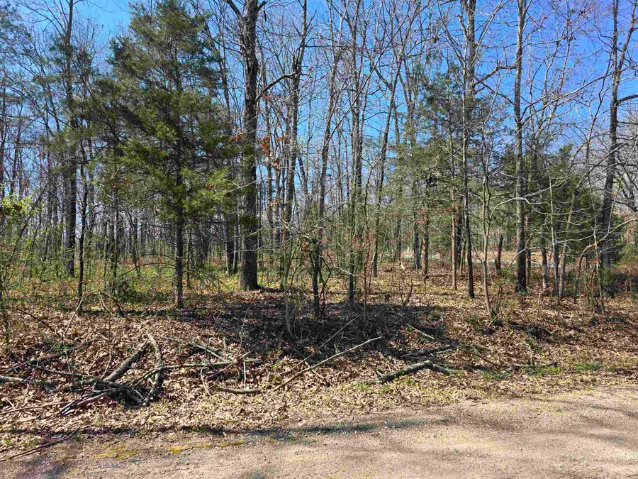 L23 B2 West Lake Addn, Ozark Acres, AR 72482 - #3