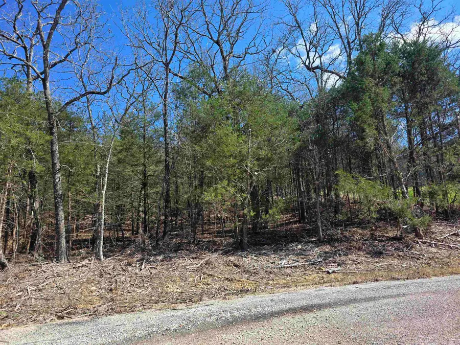 L1 B11 Pahokee Drive, Cherokee Village, AR 72529 - #2