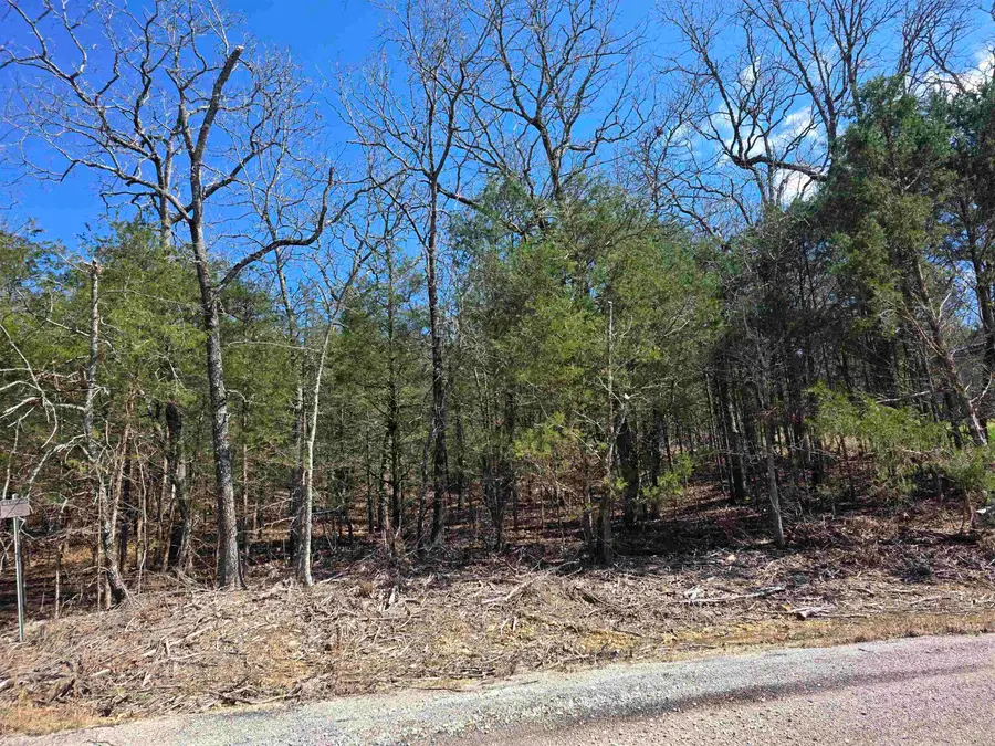 L1 B11 Pahokee Drive, Cherokee Village, AR 72529 - #3