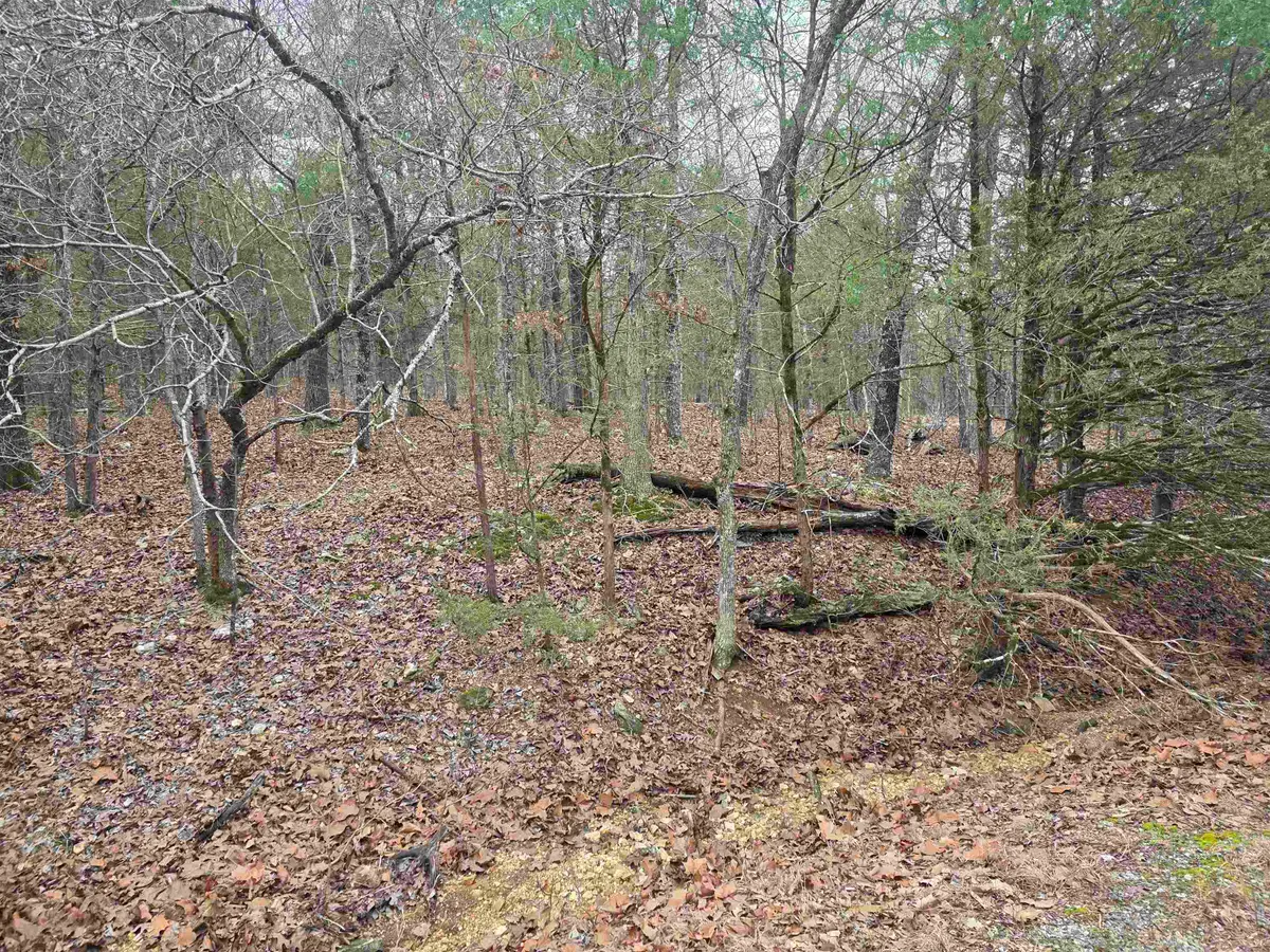 L8 B10 Pahokee Drive, Cherokee Village, AR 72529 - #1