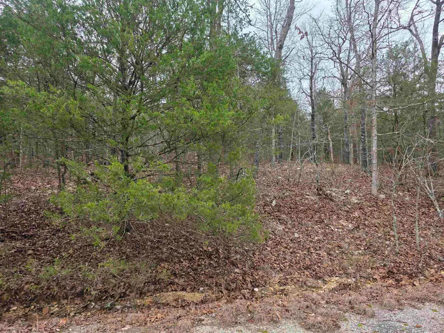 L8 B10 Pahokee Drive, Cherokee Village, AR 72529 - #2