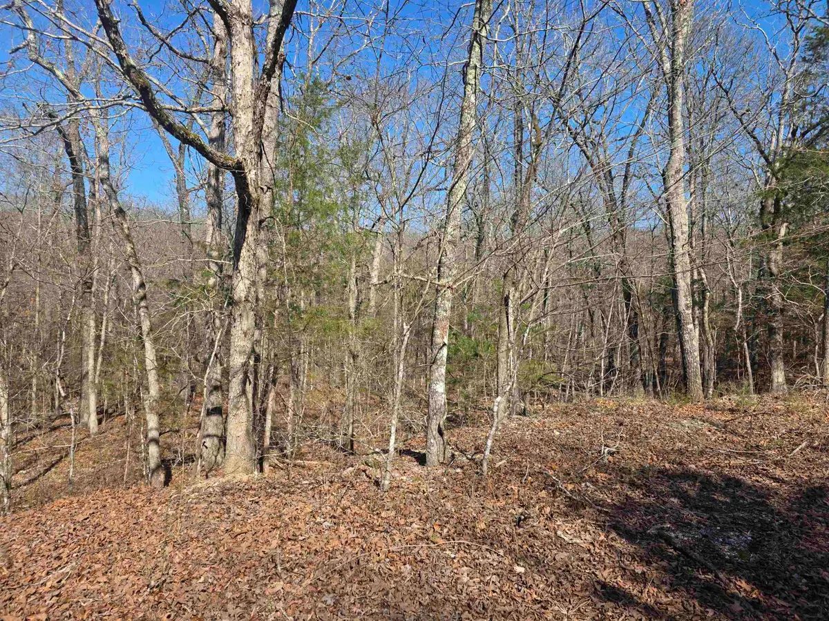 L-45, B-9 Pahokee Drive, Cherokee Village, AR 72529 - #1