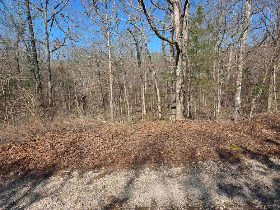 L-45, B-9 Pahokee Drive, Cherokee Village, AR 72529 - #3