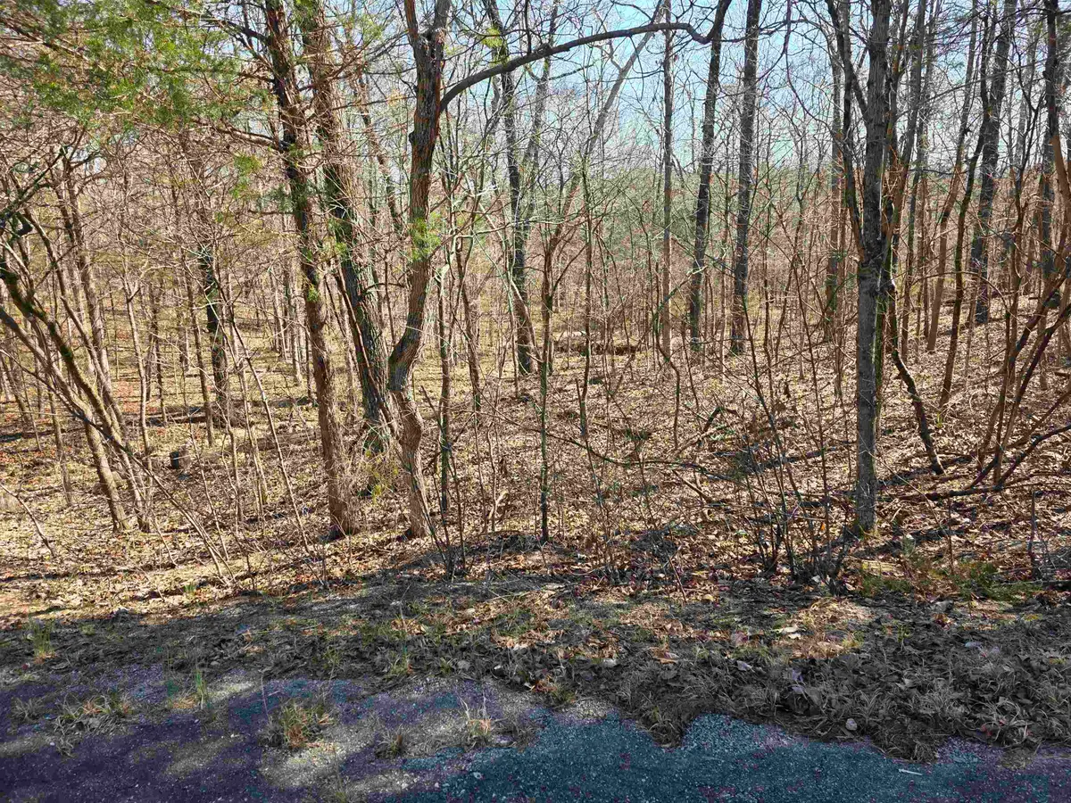 L16 B8 Lochloosa Drive, Cherokee Village, AR 72529 - #1