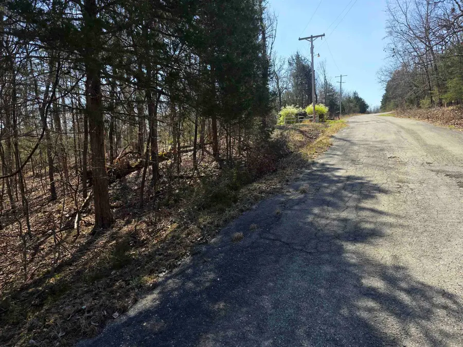 L16 B8 Lochloosa Drive, Cherokee Village, AR 72529 - #2