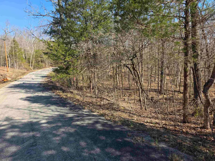 L16 B8 Lochloosa Drive, Cherokee Village, AR 72529 - #3