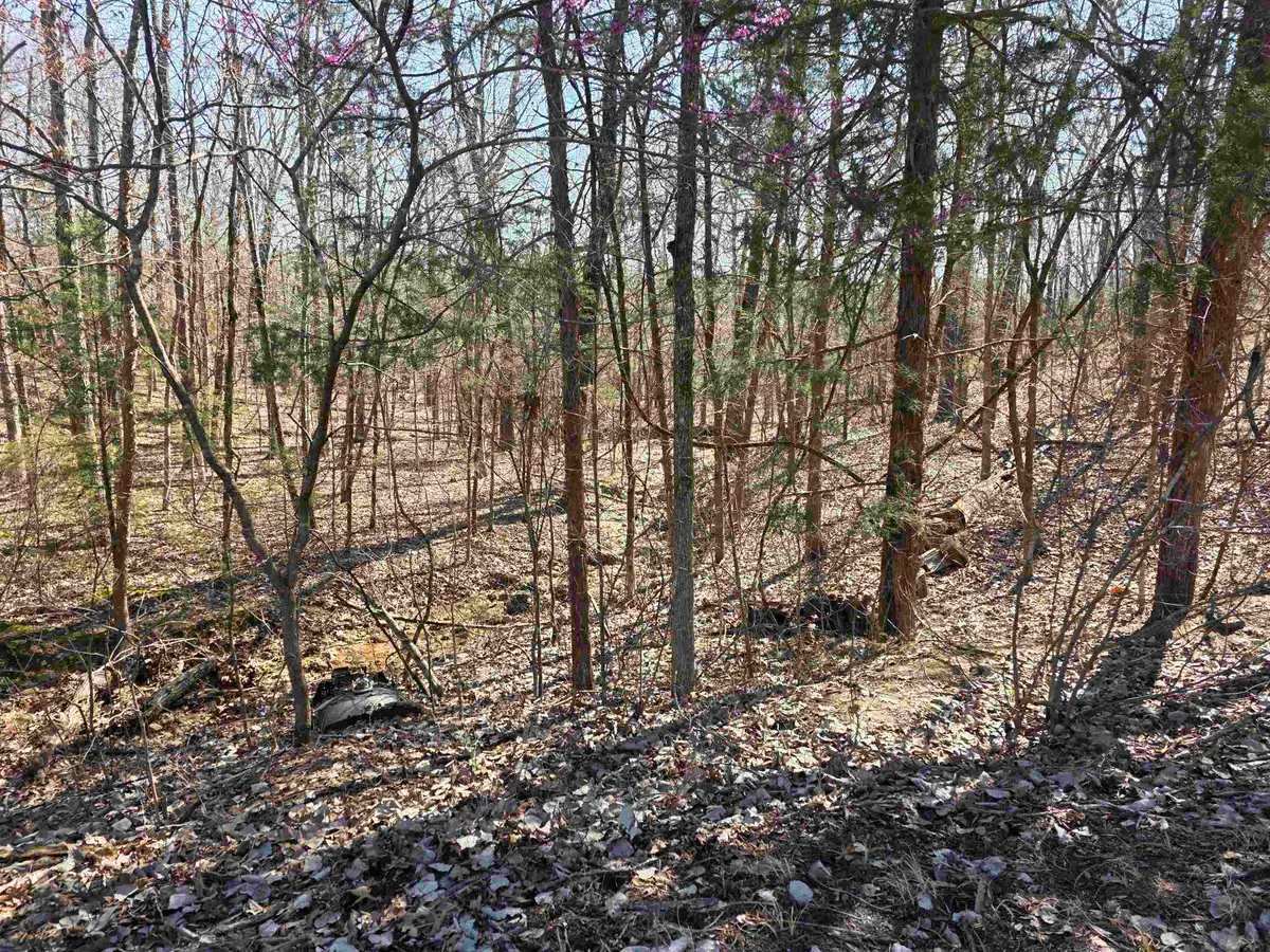 L15 B8 Lochloosa Drive, Cherokee Village, AR 72529 - #1