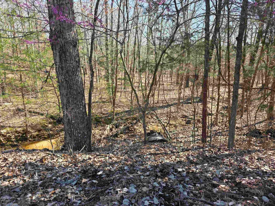 L15 B8 Lochloosa Drive, Cherokee Village, AR 72529 - #2