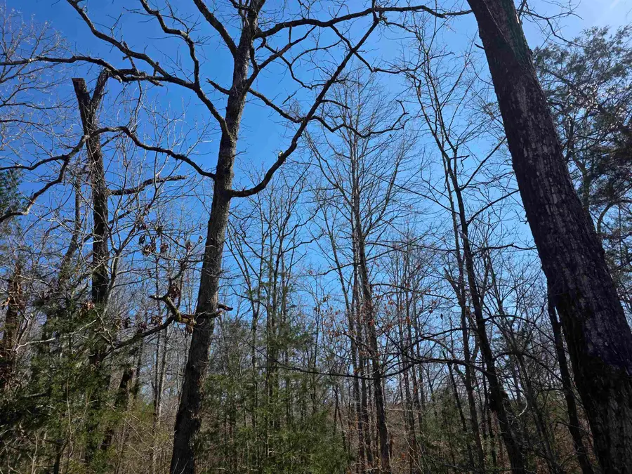 L15 B8 Lochloosa Drive, Cherokee Village, AR 72529 - #3