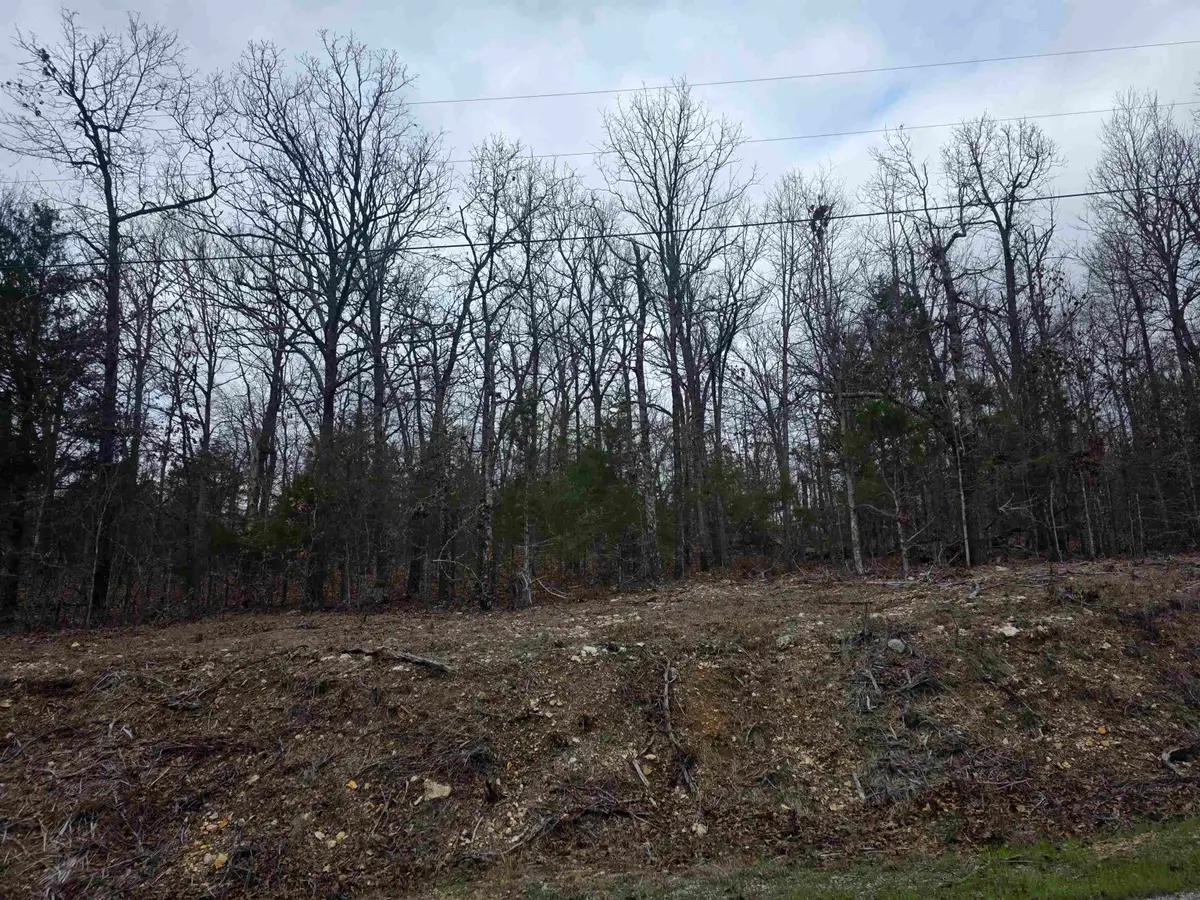 L37 B6 Wabash Drive, Cherokee Village, AR 72529 - #1