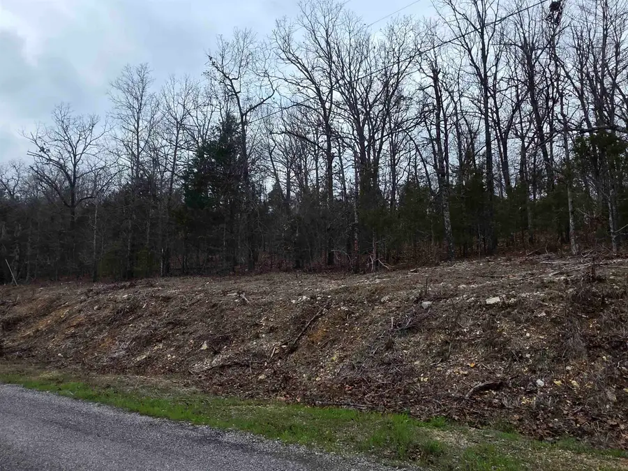 L37 B6 Wabash Drive, Cherokee Village, AR 72529 - #2