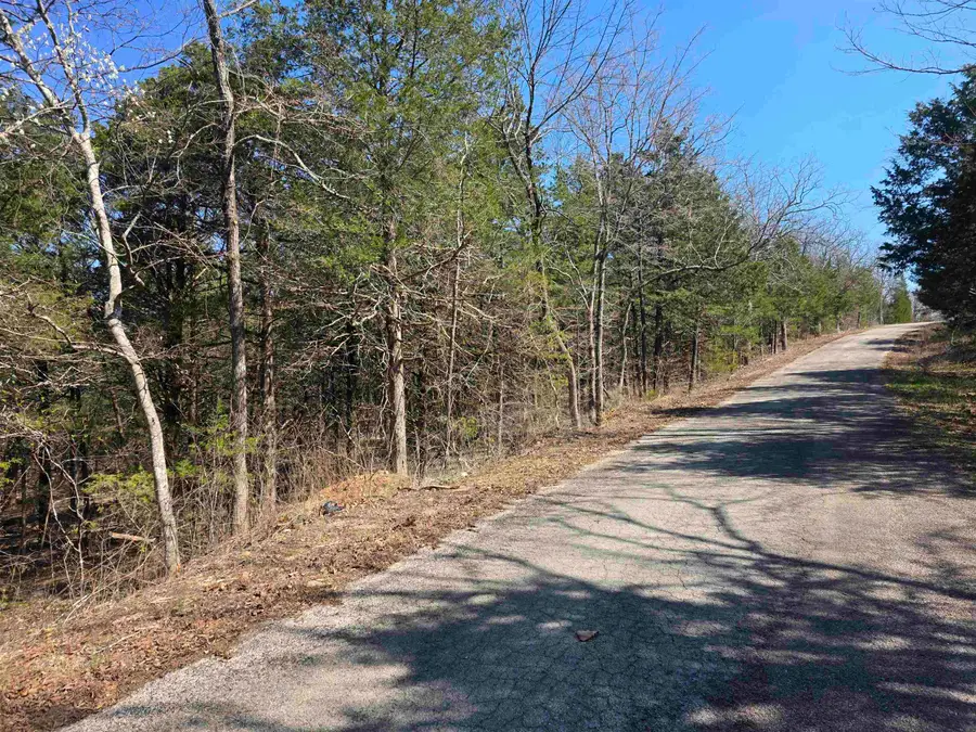 L12 B1 Hernando Drive, Cherokee Village, AR 72529 - #2