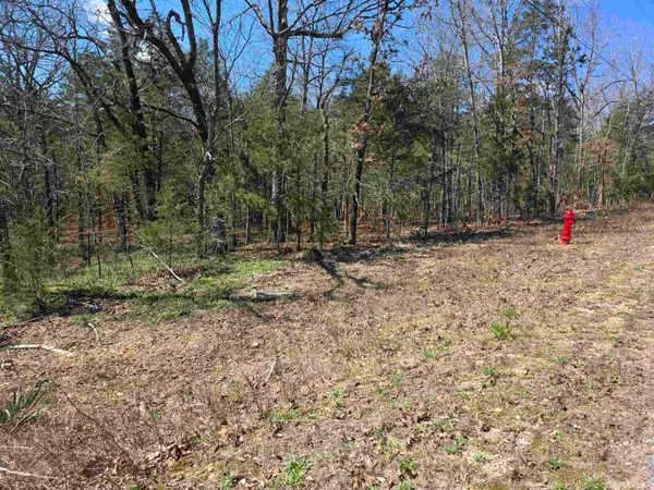 L32 B19 Katta Drive, Cherokee Village, AR 72529