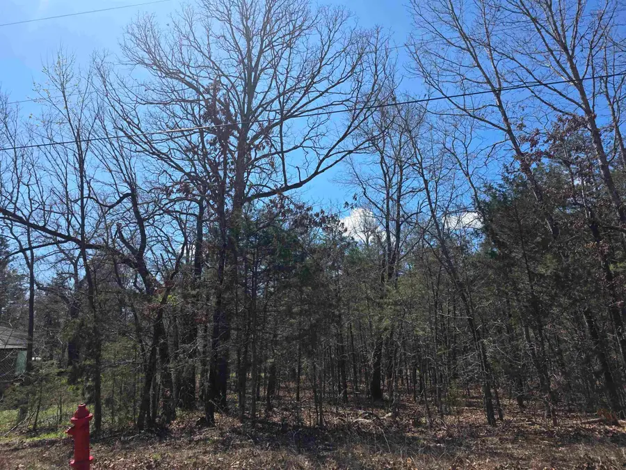 L32 B19 Katta Drive, Cherokee Village, AR 72529 - #2