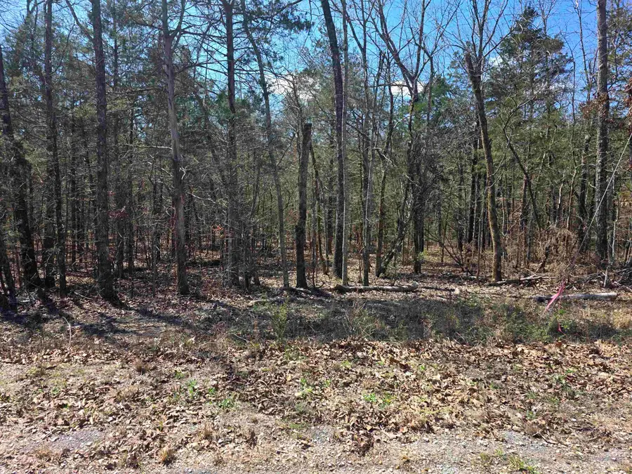 L31 B19 Katta Drive, Cherokee Village, AR 72529 - #3