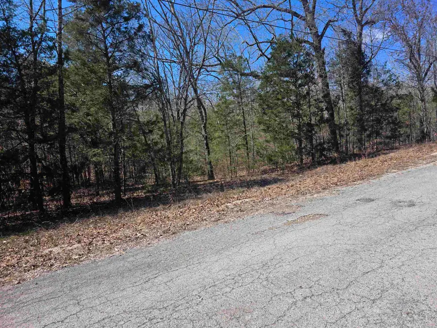 L30 B19 Katta Drive, Cherokee Village, AR 72529 - #2