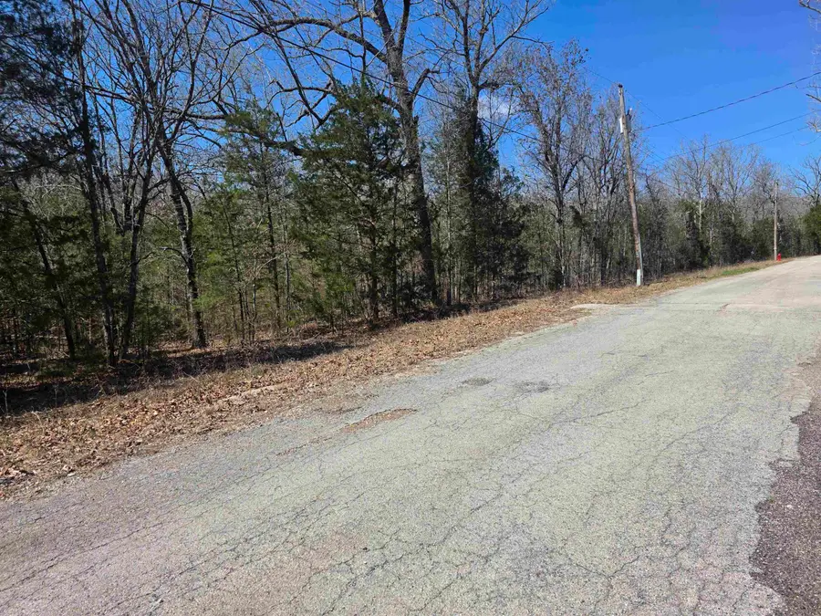 L30 B19 Katta Drive, Cherokee Village, AR 72529 - #3