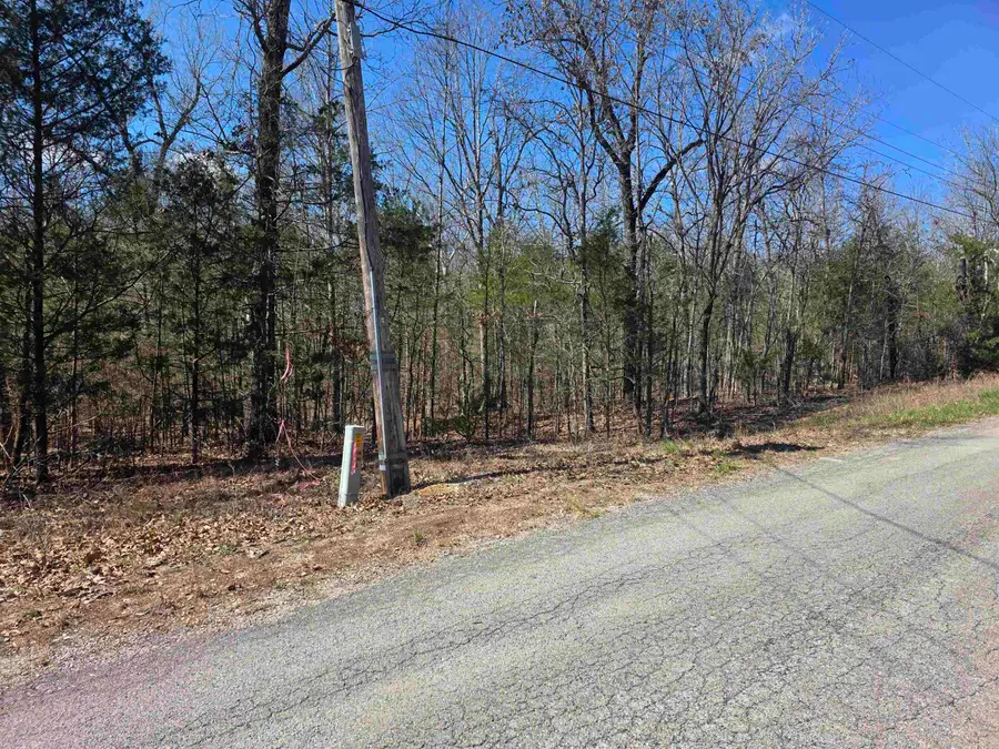 L29 B19 Katta Drive, Cherokee Village, AR 72529 - #2