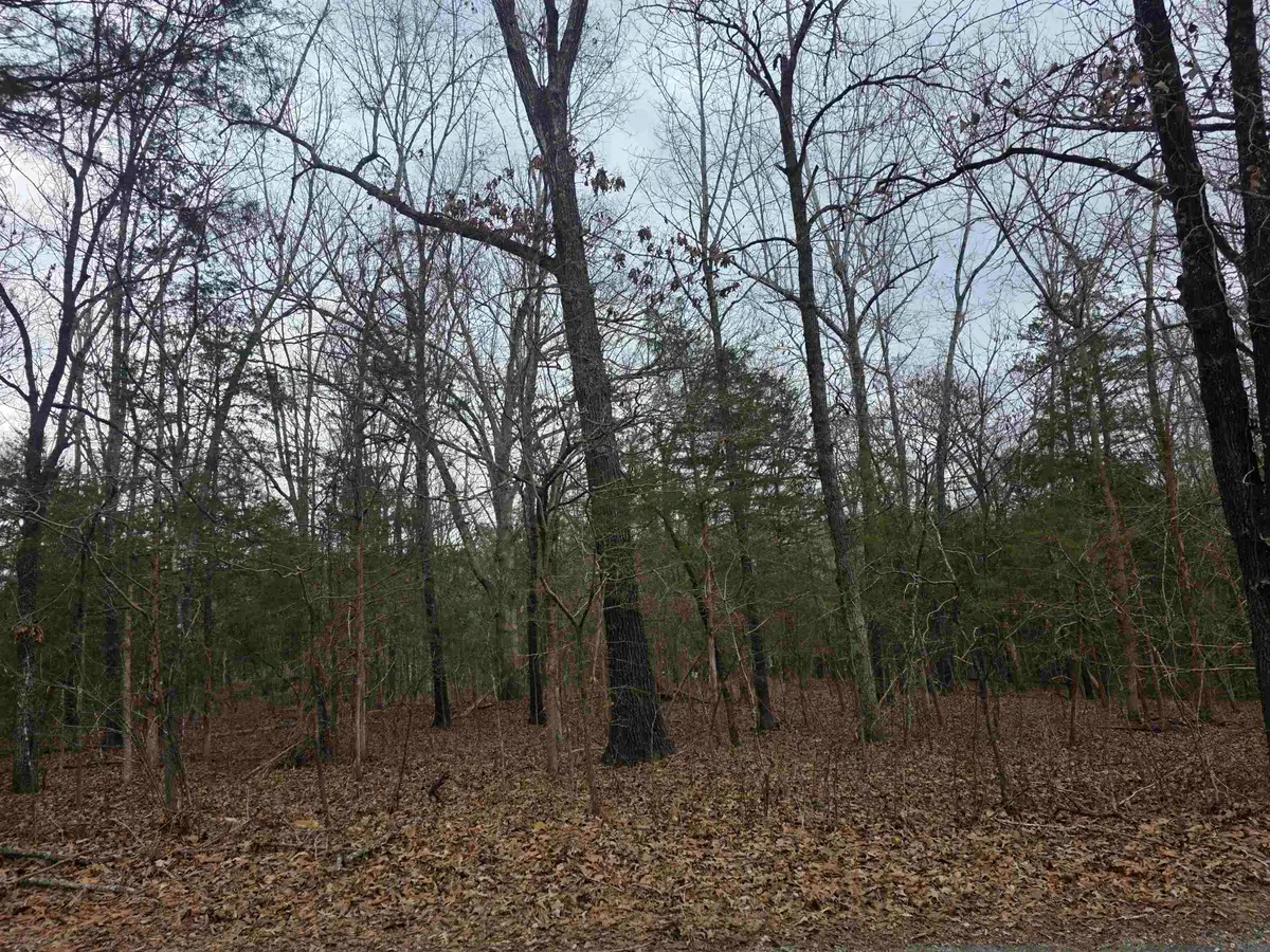 L19 B6 Big Horn Drive, Cherokee Village, AR 72529 - #1