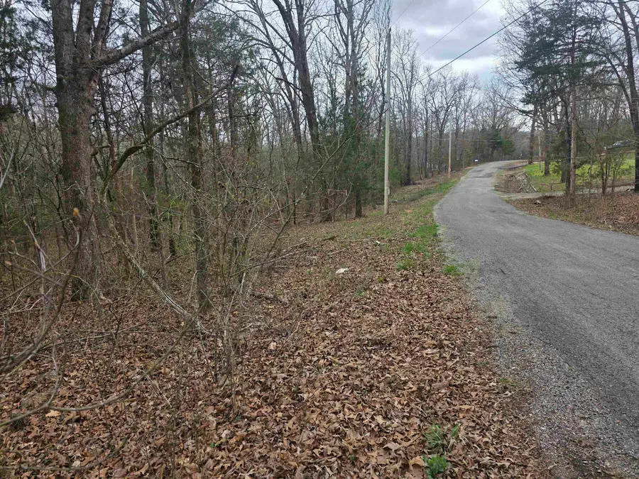 L19 B6 Big Horn Drive, Cherokee Village, AR 72529 - #2