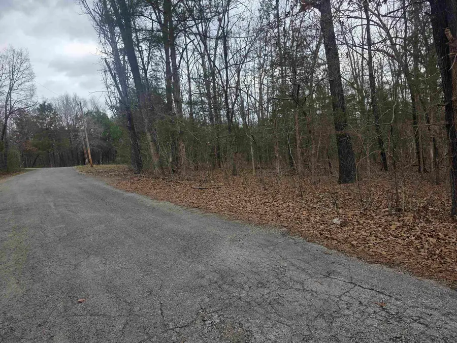 L19 B6 Big Horn Drive, Cherokee Village, AR 72529 - #3