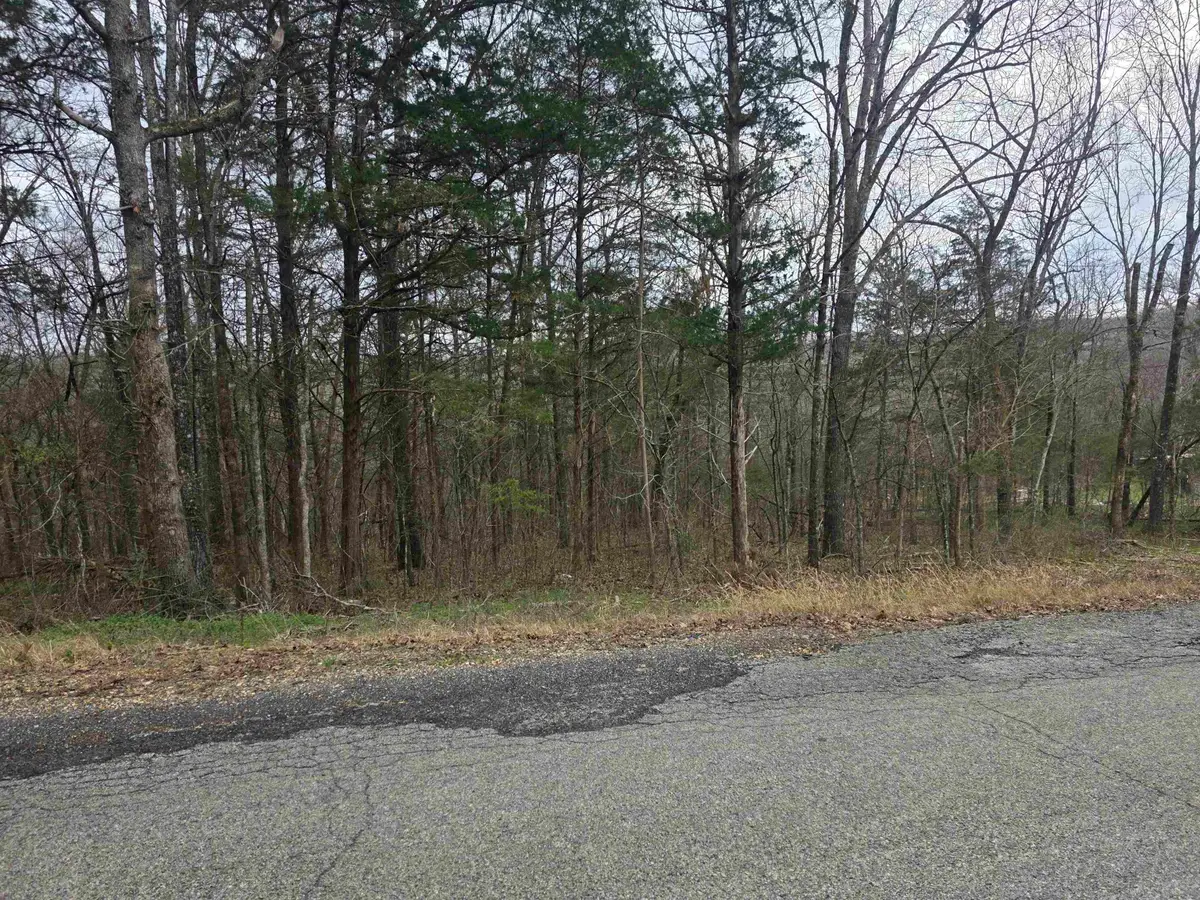 L9 B3 Mineola Drive, Cherokee Village, AR 72529 - #1