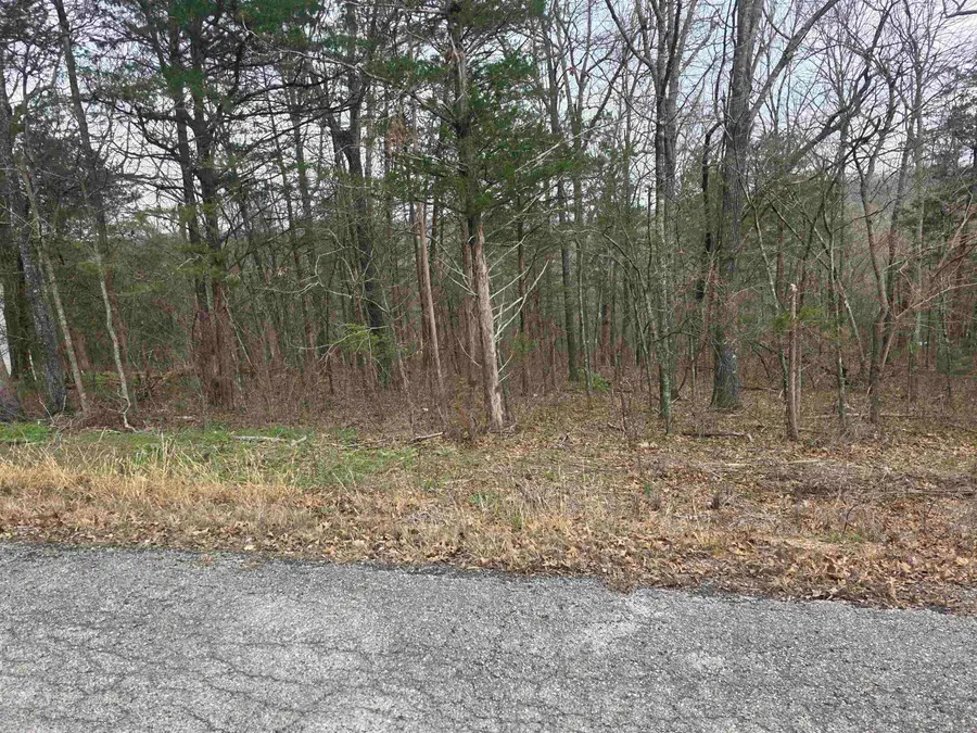 L9 B3 Mineola Drive, Cherokee Village, AR 72529 - #2