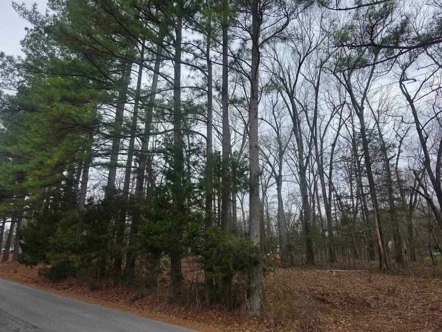 L33 B2 Cherokee Road, Cherokee Village, AR 72529 - #3