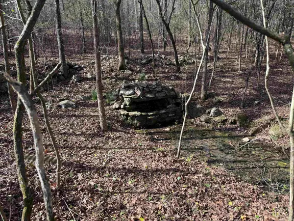 TBD Polk Road 13, Wickes, AR 71973