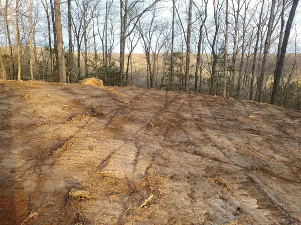 Tract 1 Alamo Dr, Mountain View, AR 72560