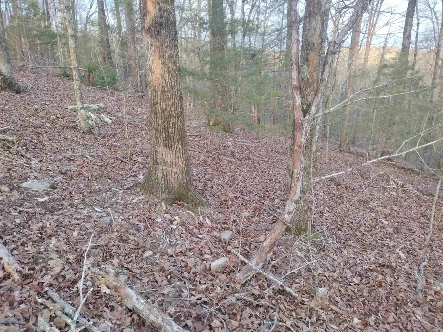 Tract 1 Alamo Dr, Mountain View, AR 72560 - #2