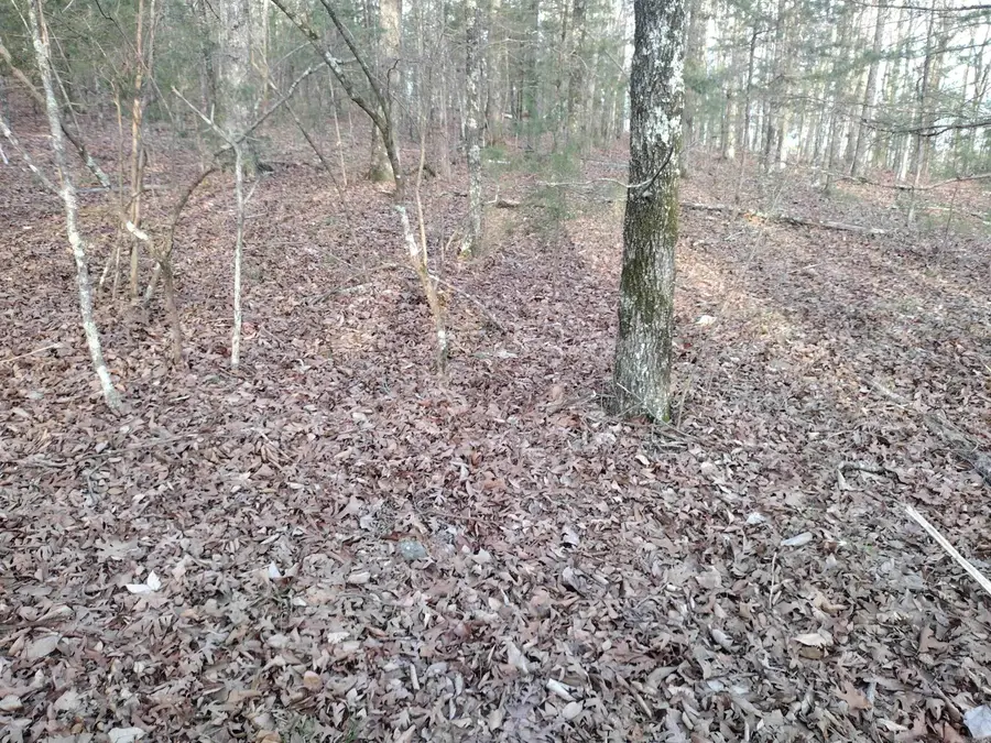 Tract 1 Alamo Dr, Mountain View, AR 72560 - #3