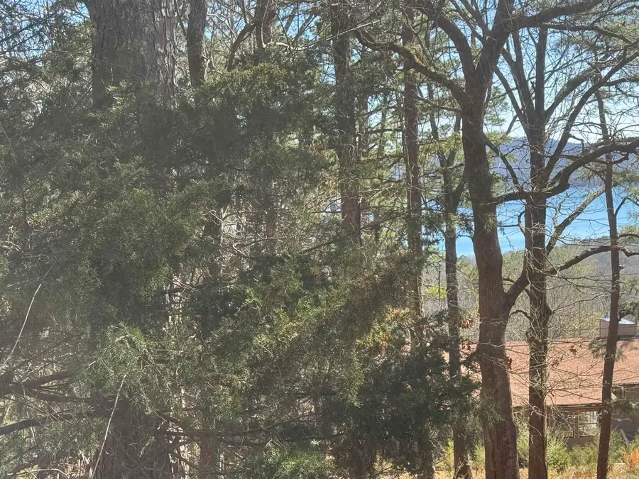 Lot 50 Lakeview Drive, Indian Rock, AR 72088 - #2
