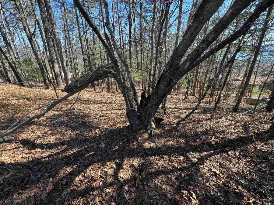 Lot 50 Lakeview Drive, Indian Rock, AR 72088 - #3