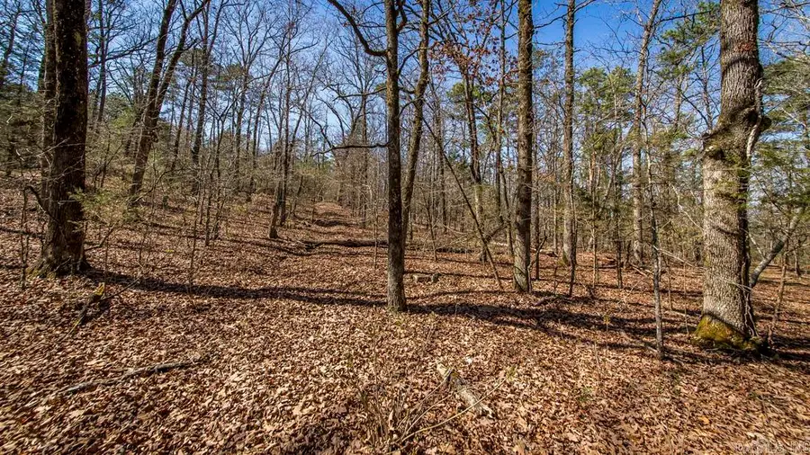 0 Whipporwill Lane, Choctaw, AR 72031 - #3