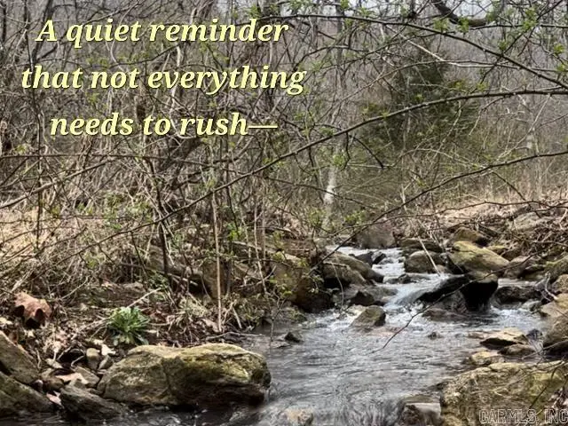 2726 Little Red River Road, Marshall, AR 72650 - #1