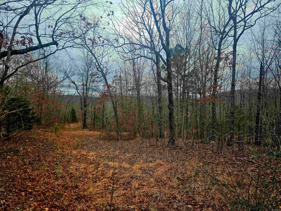 2726 Little Red River Road, Marshall, AR 72650 - #2