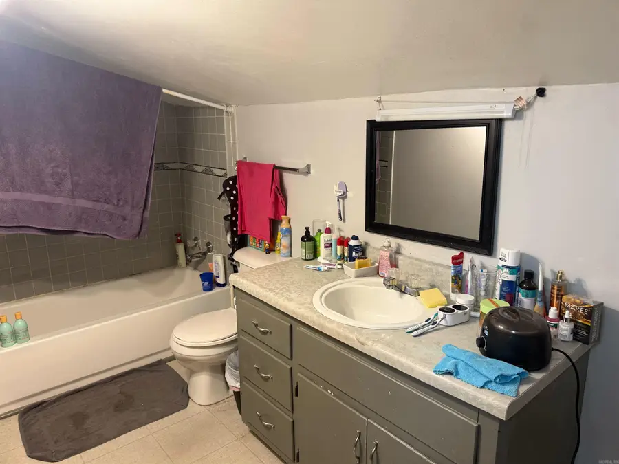 250 Bluebird Lane, Mount Pleasant, AR 72561 - #3