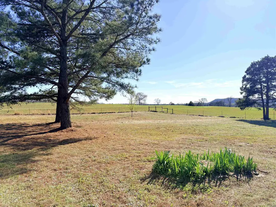 20 Buck Branch, Quitman, AR 72131 - #3