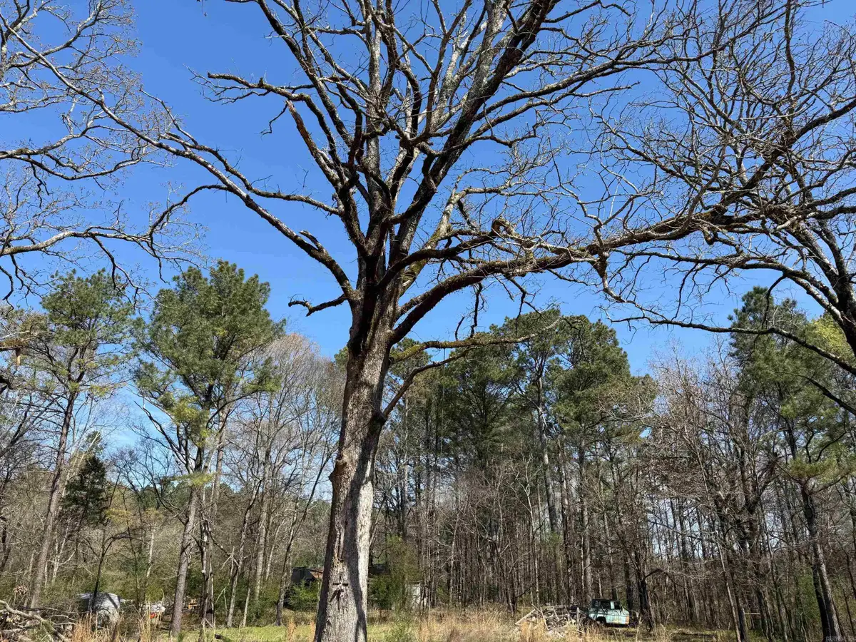 TBD Old Bear Road, Royal, AR 71968 - #1