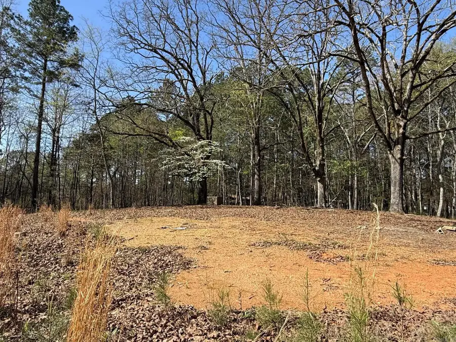 TBD Old Bear Road, Royal, AR 71968 - #2