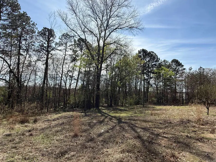 TBD Old Bear Road, Royal, AR 71968 - #3