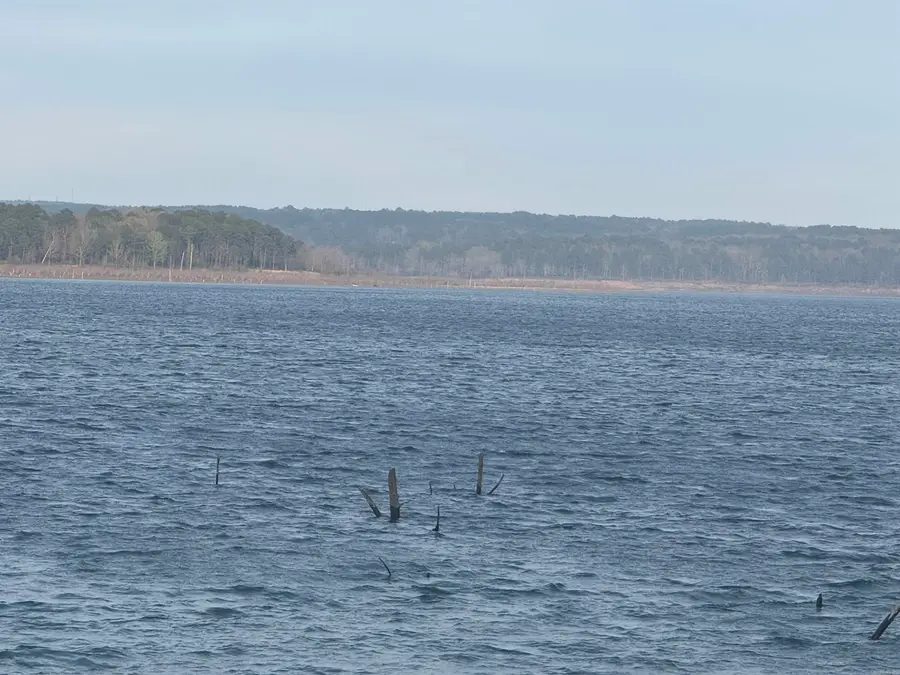 525 E Shore Drive, Drasco, AR 72530 - #2